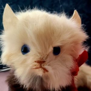 Tuneful Tabby - The Tumbling Cat - 1950's Antique